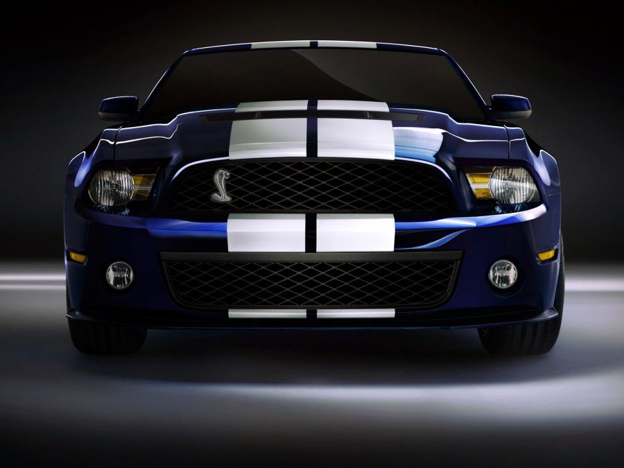  Shelby GT500 2009 года  (фото 19 из 21)